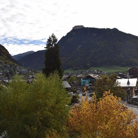 Appartement Morzine, 2 pièces, 4 personnes - FR-1-524-79 Extérieur photo